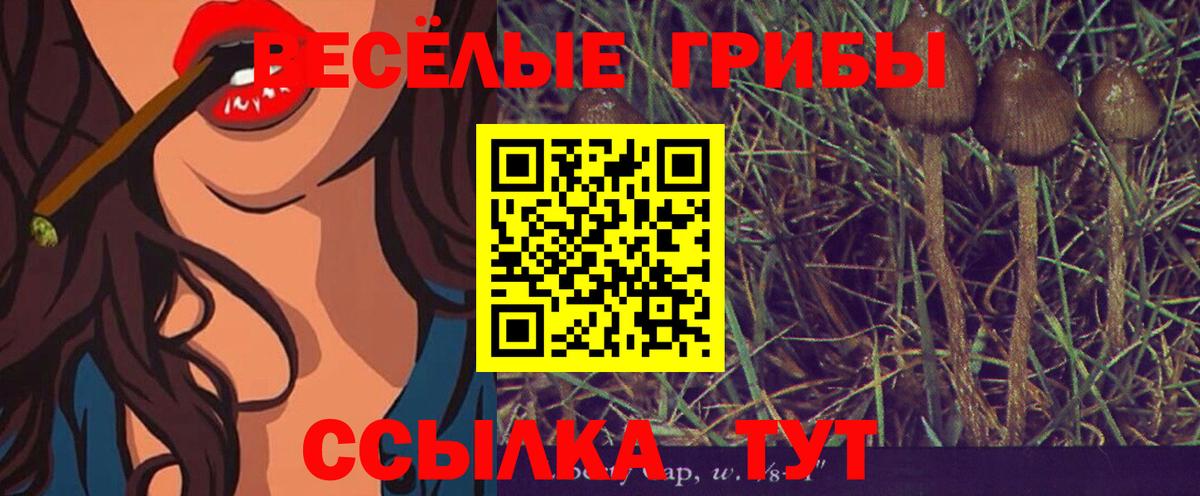 Скопин  Галлюциногенные грибы Psilocybe  Вход с VPN 