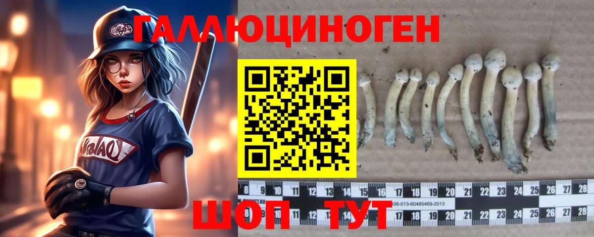 Галлюциногенные грибы мицелий Скопин